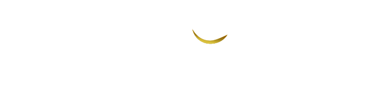 light logo
